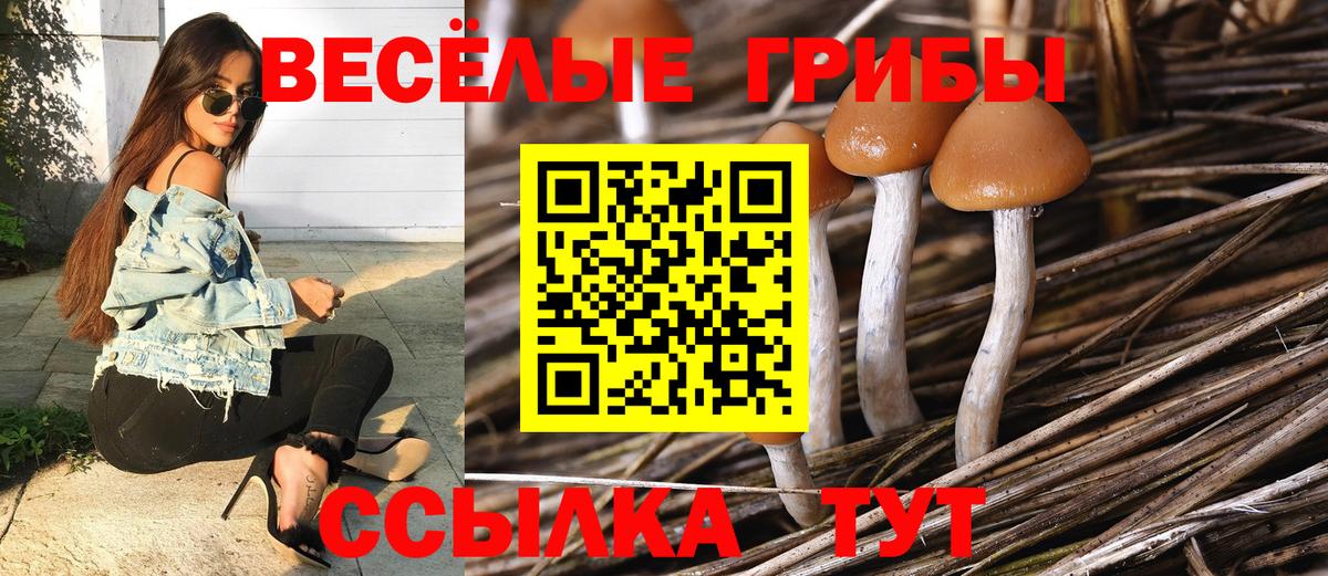 Галлюциногенные грибы ЛСД Котовск