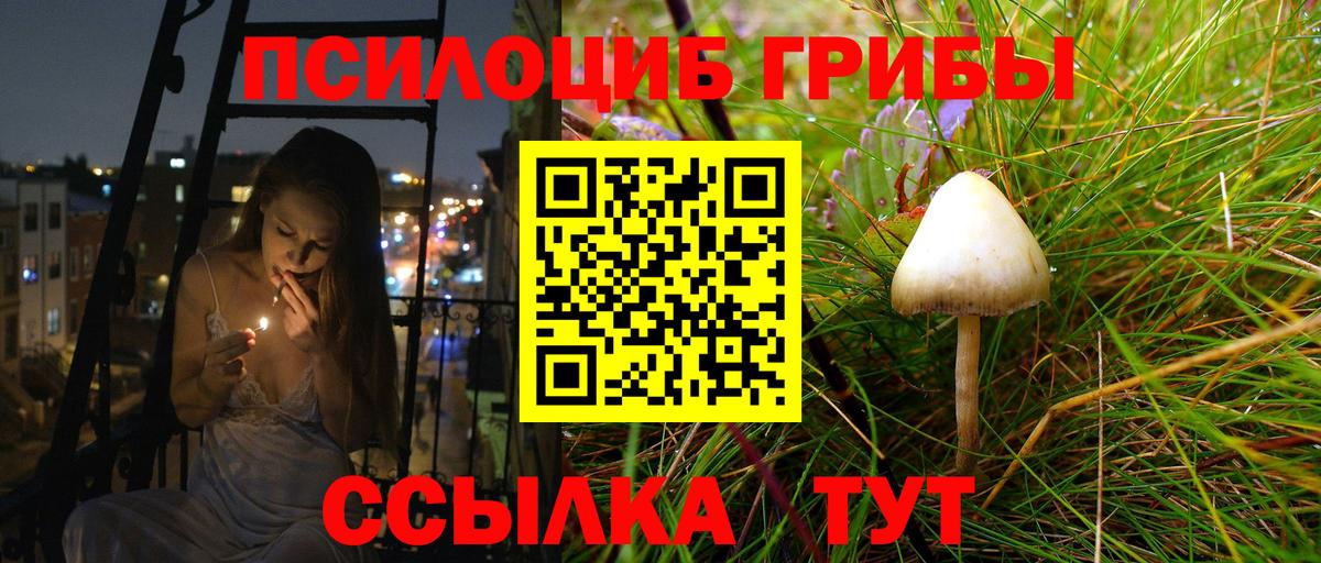 даркнет сайт  Галлюциногенные грибы прущие грибы  Котовск  Вход с VPN  Псилоцибиновые грибы прущие грибы 